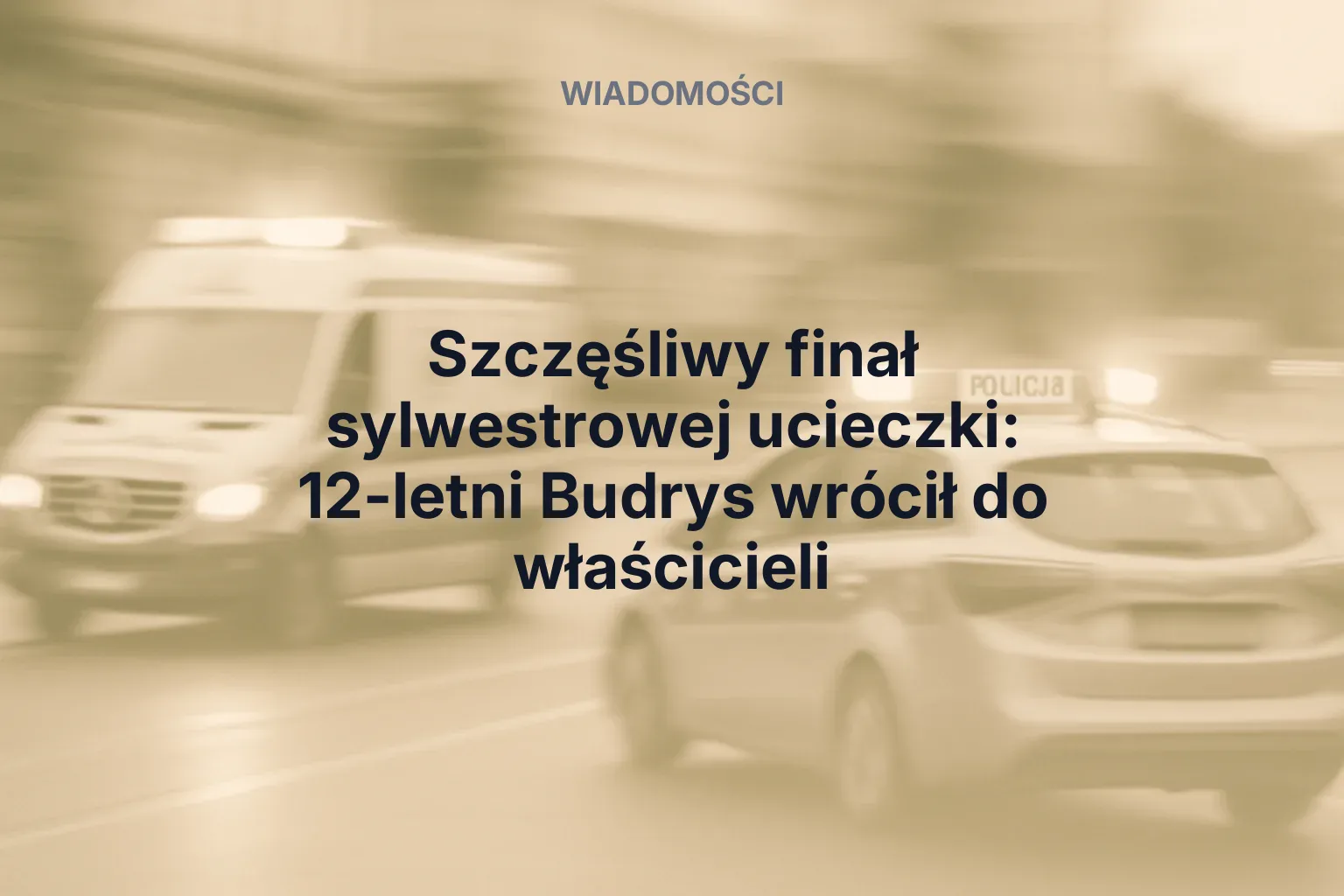 Artykuł: Szczęśliwy finał sylwestrowej ucieczki: 12-letni Budrys wrócił do właścicieli